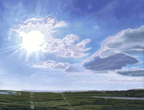Rye Harbour Sun