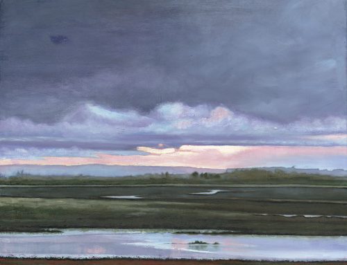 Rye harbour Dusk